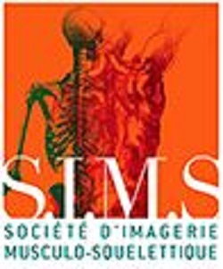 42èmes Ateliers de la S.I.M.S.